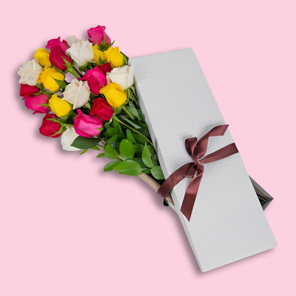 Caja 24 Rosas Multicolor