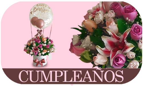 categoría-cumpleaños